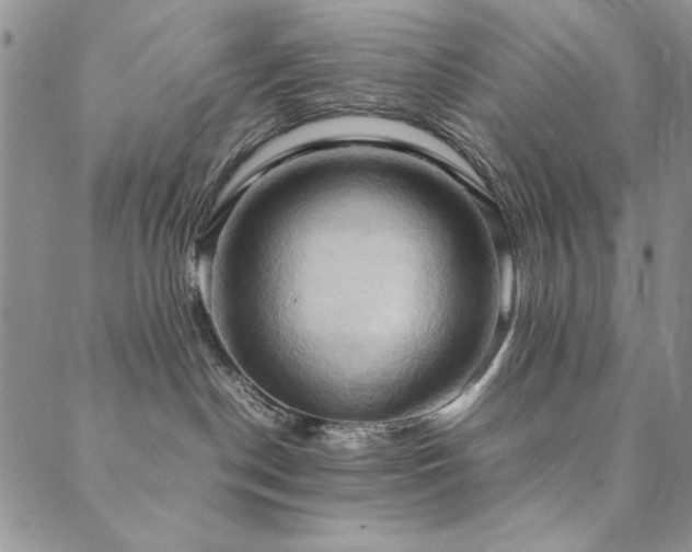 X0000090490190200707131336