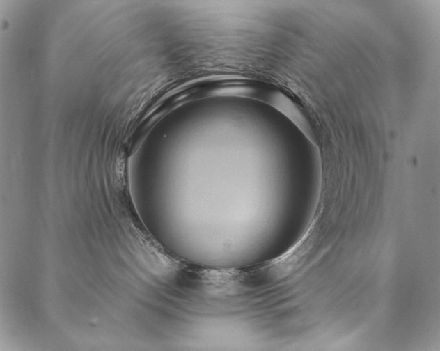 X0000090490192200707131336