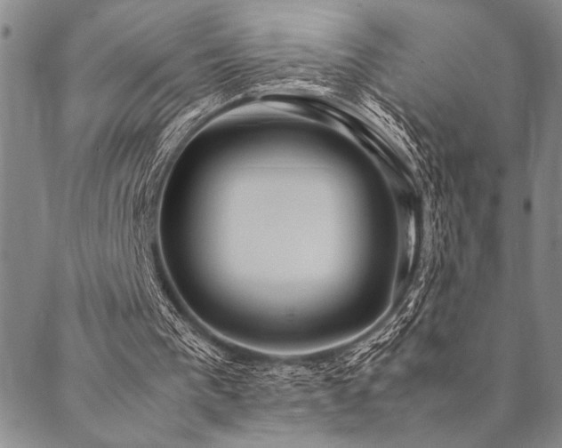 X0000090490193200707131336