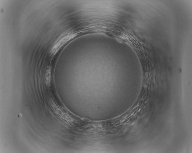 X0000090490194200707131336