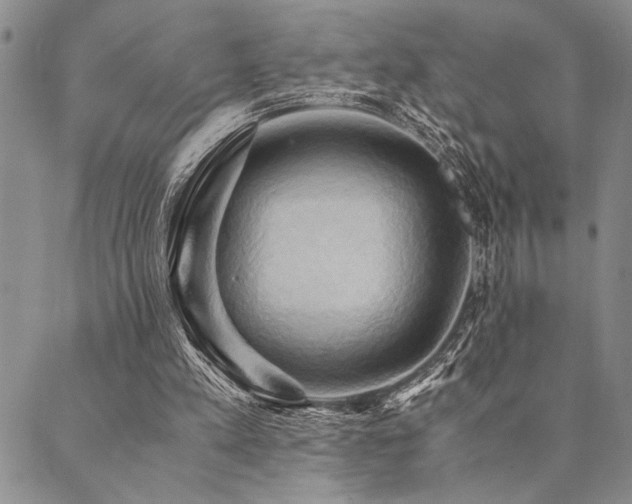 X0000090490197200707131336