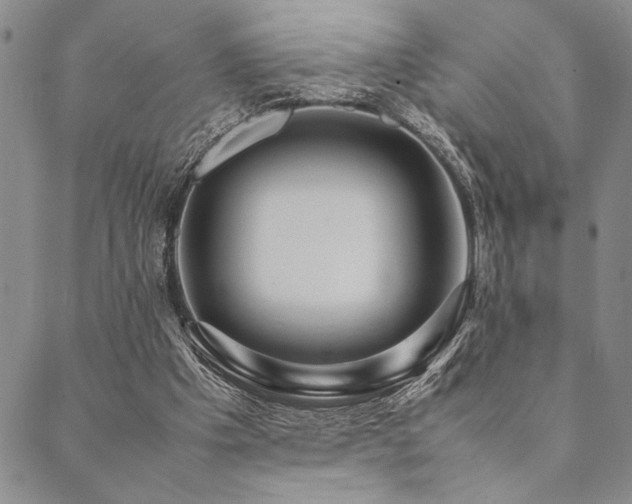 X0000090490201200707131335
