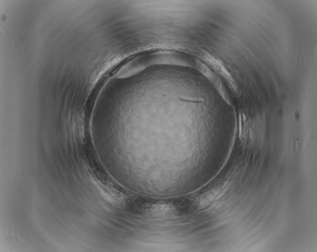 X0000090490204200707131335