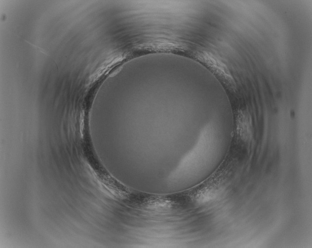 X0000090490206200707131335