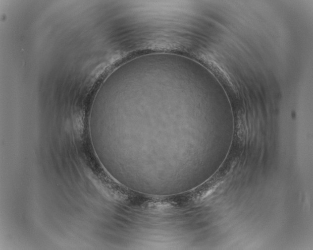 X0000090490208200707131335