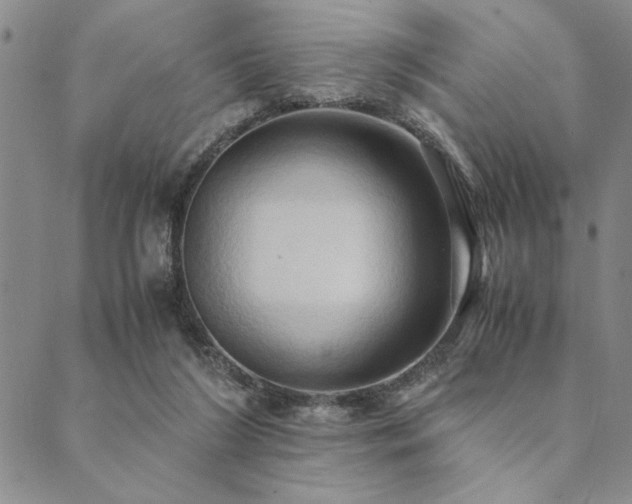 X0000090490212200707131335