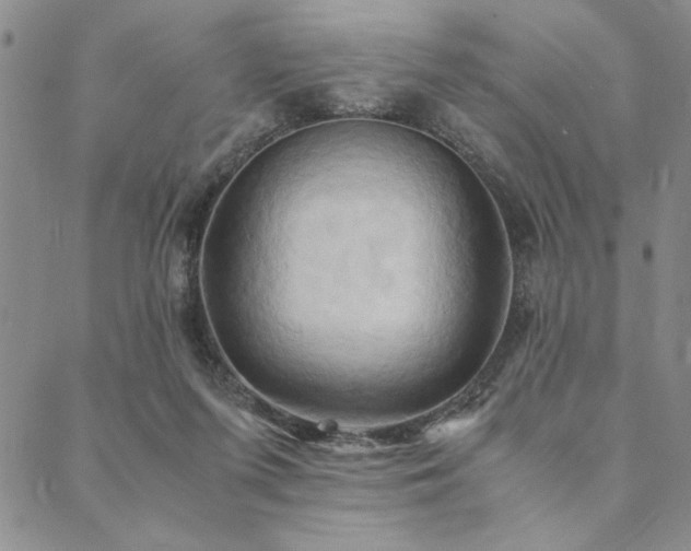 X0000090490215200707131335