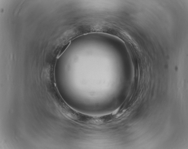 X0000090490217200707131335