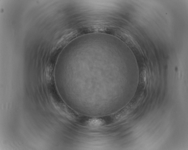 X0000090490218200707131335