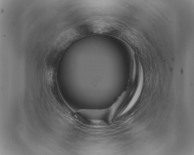 X0000090490219200707131335