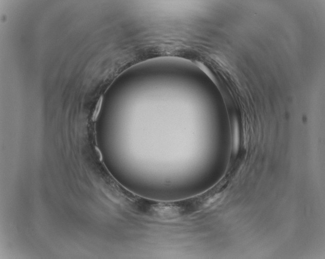 X0000090490221200707131335