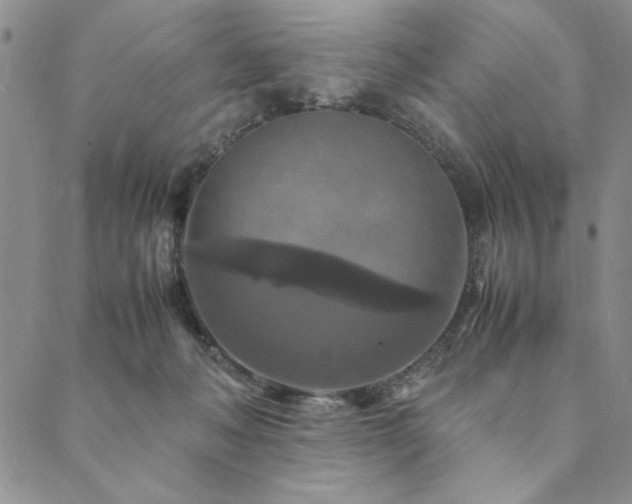 X0000090490222200707131335