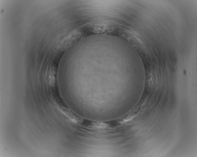 X0000090490226200707131335