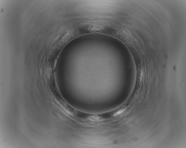 X0000090490227200707131335