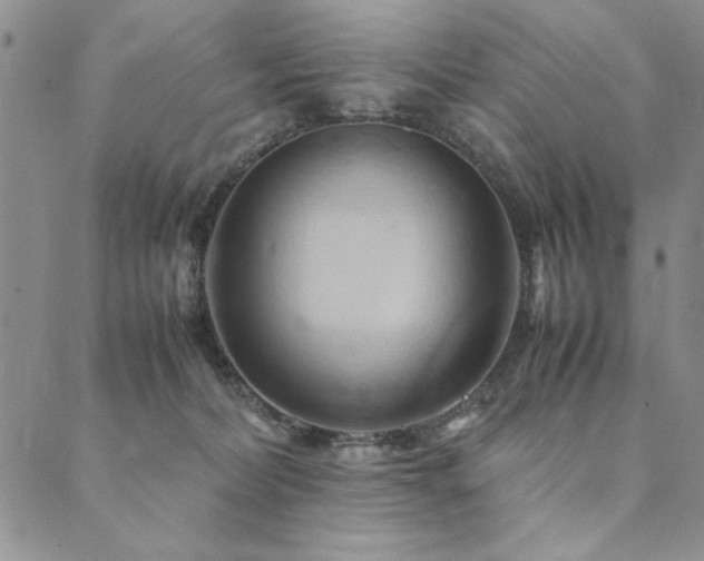 X0000090490228200707131335