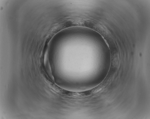X0000090490229200707131335