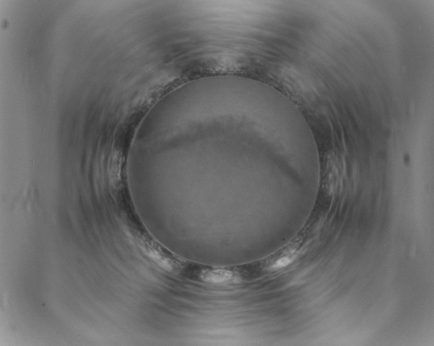 X0000090490230200707131335