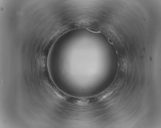X0000090490232200707131335