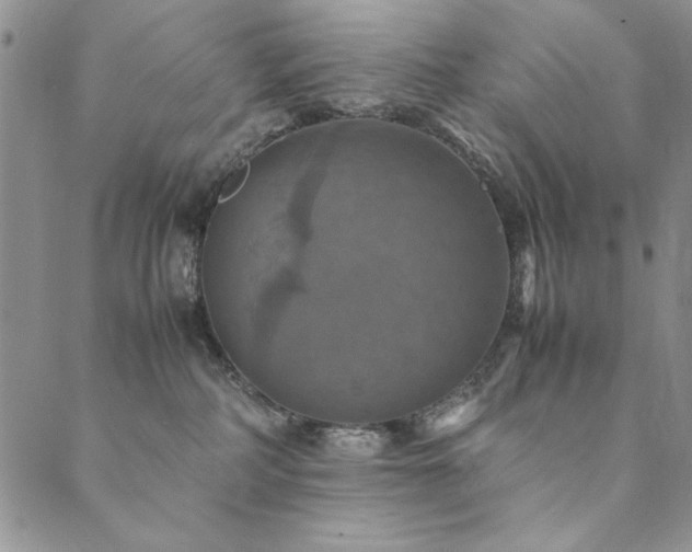 X0000090490234200707131335