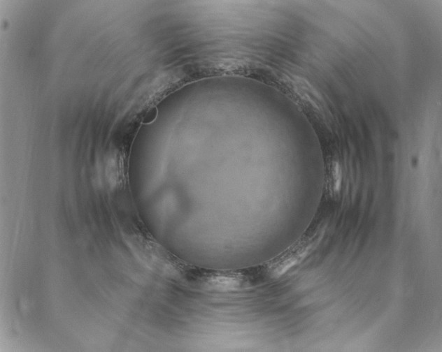 X0000090490236200707131335