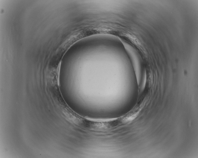 X0000090490237200707131335