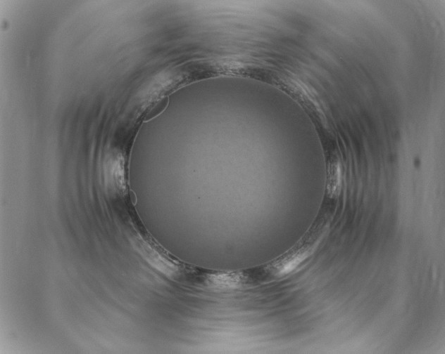 X0000090490238200707131335