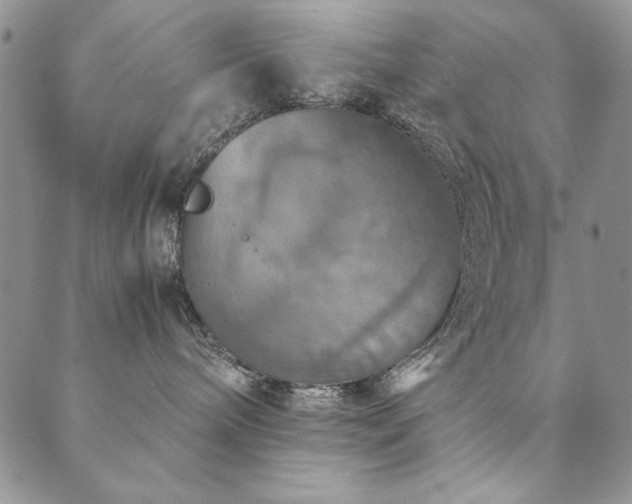 X0000090490240200707131335