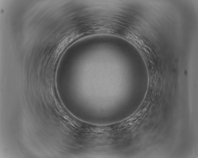 X0000090490241200707131334