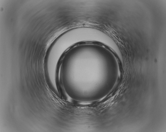 X0000090490244200707131334