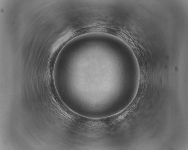 X0000090490245200707131334