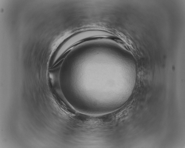 X0000090490248200707131334