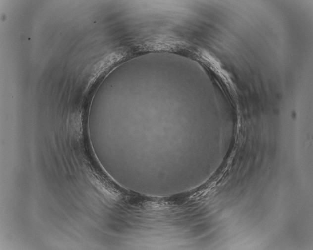 X0000090490250200707131334