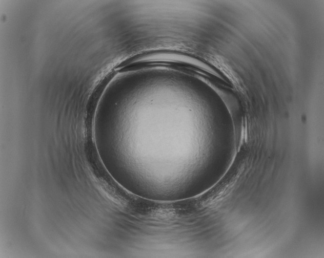 X0000090490252200707131334