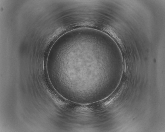 X0000090490253200707131334