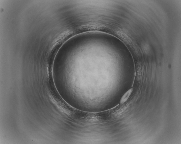 X0000090490254200707131334