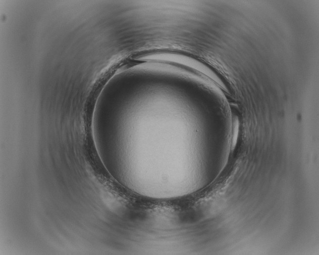 X0000090490256200707131334