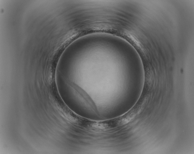 X0000090490261200707131334