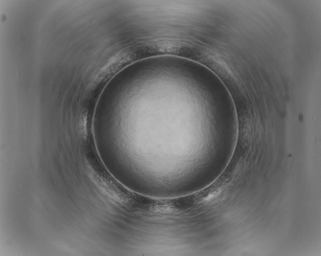 X0000090490262200707131334