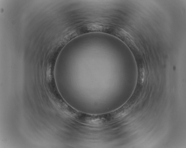 X0000090490267200707131334
