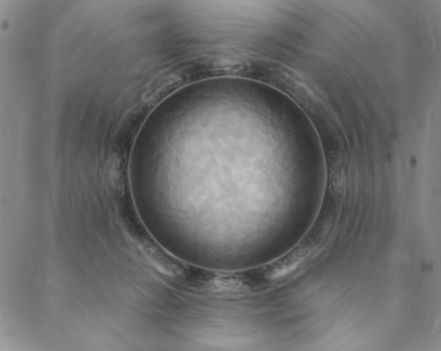X0000090490270200707131335