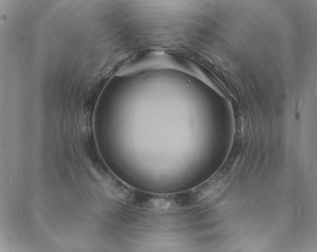 X0000090490272200707131335