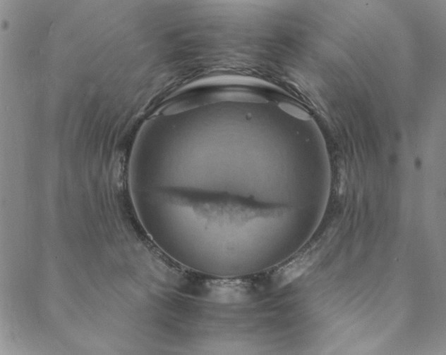 X0000090490273200707131335