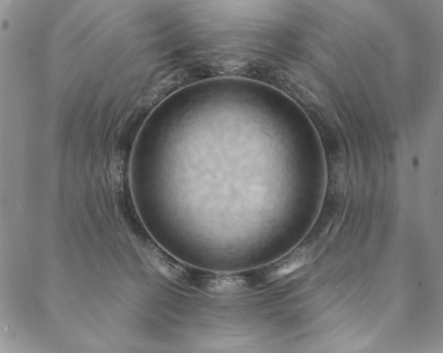 X0000090490274200707131335