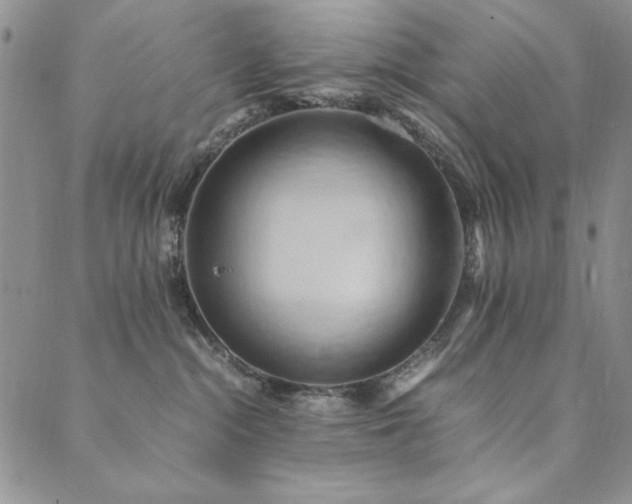 X0000090490284200707131335