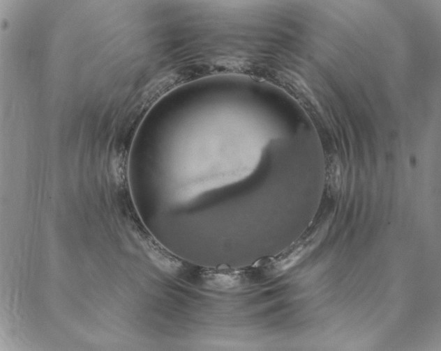 X0000090490285200707131335