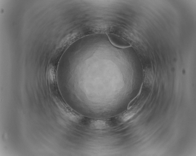 X0000090490287200707131335