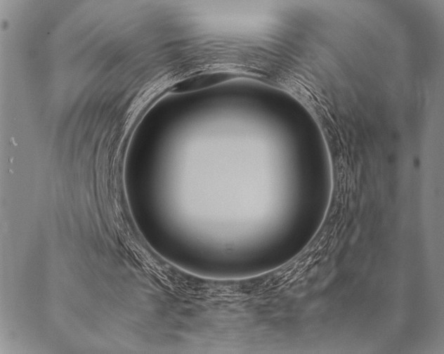 X0000090490289200707131334