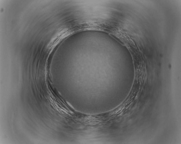 X0000090490290200707131334
