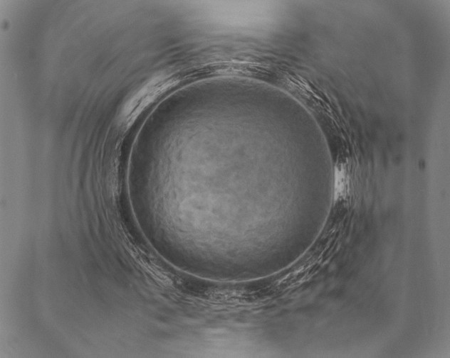 X0000090490291200707131334