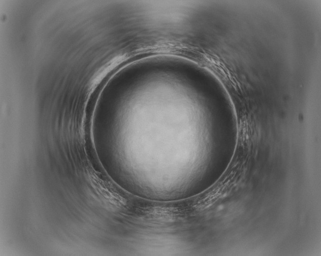 X0000090490292200707131334